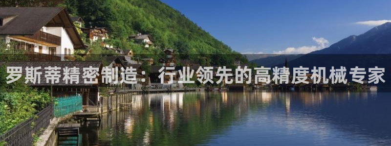彩神ⅴll是什么样平台：罗斯蒂精密制造：行业领先的高精度机械专家