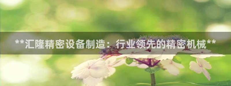 彩神客服电话：**汇隆精密设备制造：行业领先的精密机械**