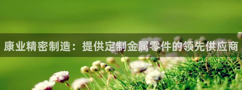 彩神vll首页环球：康业精密制造：提供定制金属零件的领先供应商
