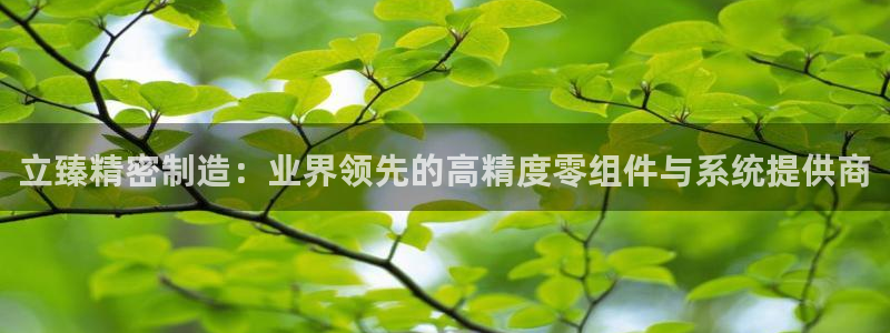 彩神8是正规平台吗：立臻精密制造：业界领先的高精度零组件与系统提供商
