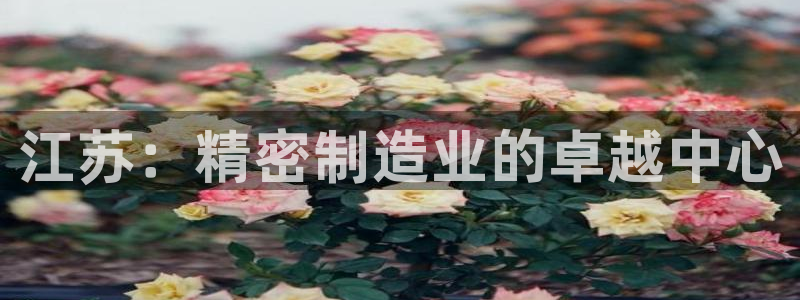彩神旗下有哪些平台：江苏：精密制造业的卓越中心