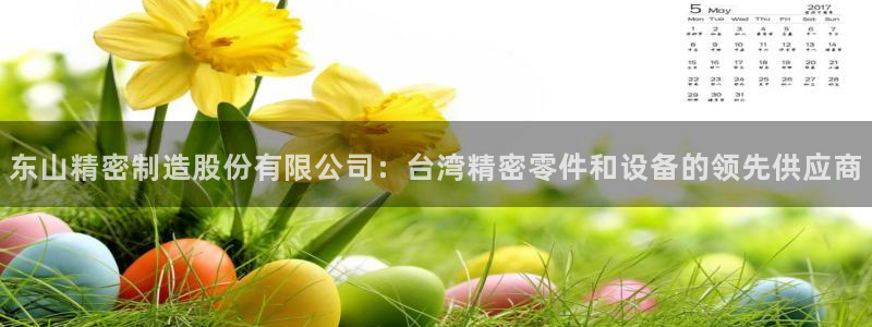 下载彩神通关注金码：东山精密制造股份有限公司：台湾精密零件和设备的领先供应商