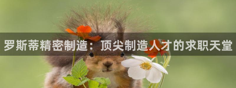 彩神V集团公司：罗斯蒂精密制造：顶尖制造人才的求职天堂