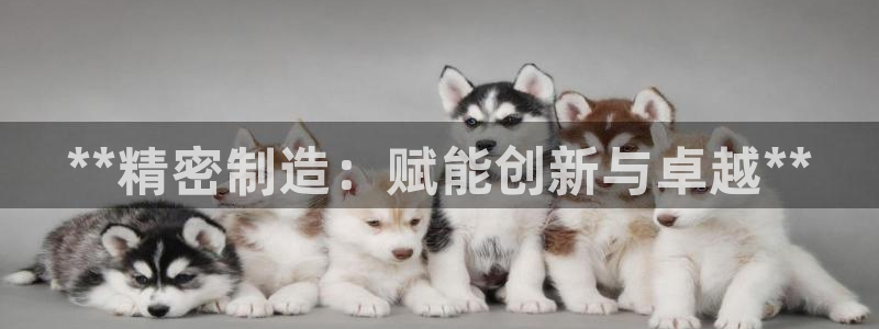 彩神邀请码:00-00-3267：**精密制造：赋能创新与卓越**