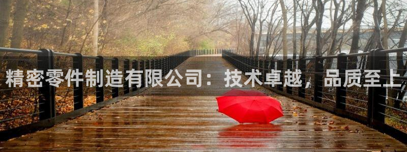 彩神购彩-购彩大厅入口下载：精密零件制造有限公司：技术卓越，品质至上