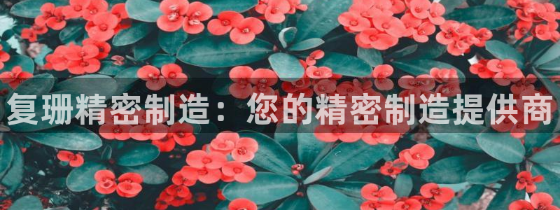 彩神数码科技有限公司：复珊精密制造：您的精密制造提供商