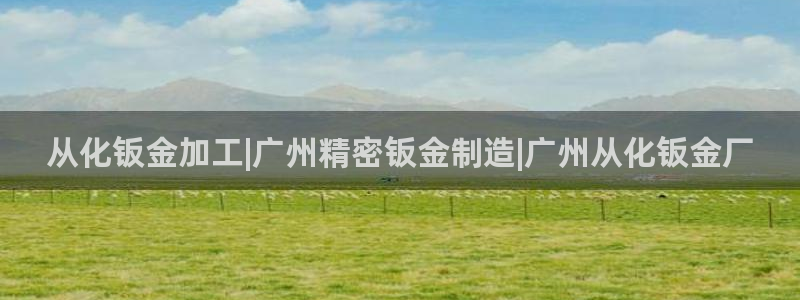 彩神iv争霸购彩大厅：从化钣金加工|广州精密钣金制造|广州从化钣金厂