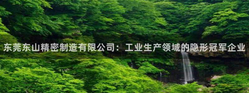 彩神骗局：东莞东山精密制造有限公司：工业生产领域的隐形冠军企业