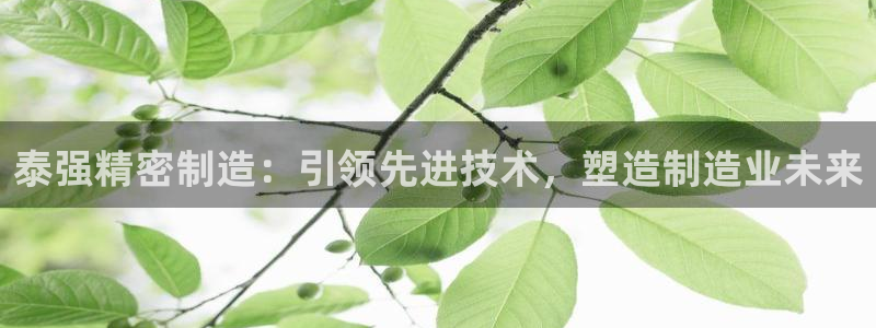 彩神客服电话：泰强精密制造：引领先进技术，塑造制造业未来