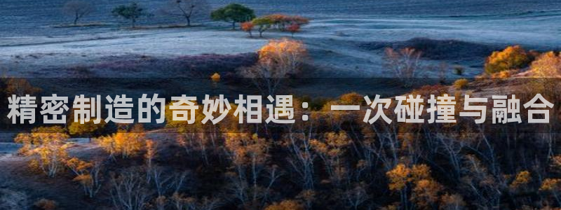 彩神v天天：精密制造的奇妙相遇：一次碰撞与融合