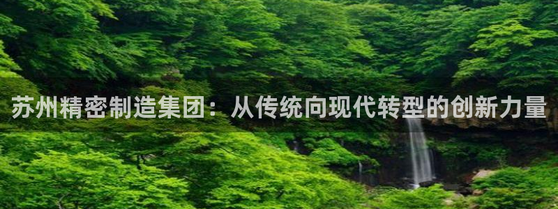彩神vip购彩大厅：苏州精密制造集团：从传统向现代转型的创新力量