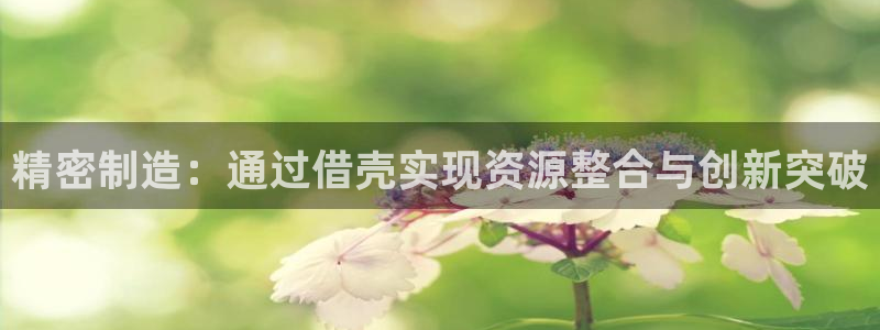彩神是什么平台：精密制造：通过借壳实现资源整合与创新突破
