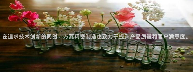 彩神v8下载：在追求技术创新的同时，方嘉精密制造也致力于提升产品质量和客户满意度。