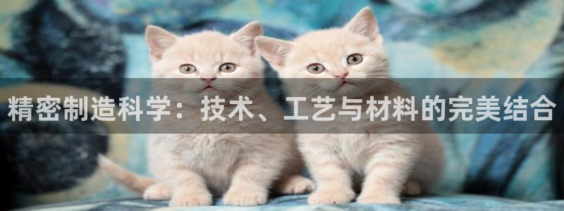 彩神vlll(中国)百度百科：精密制造科学：技术、工艺与材料的完美结合