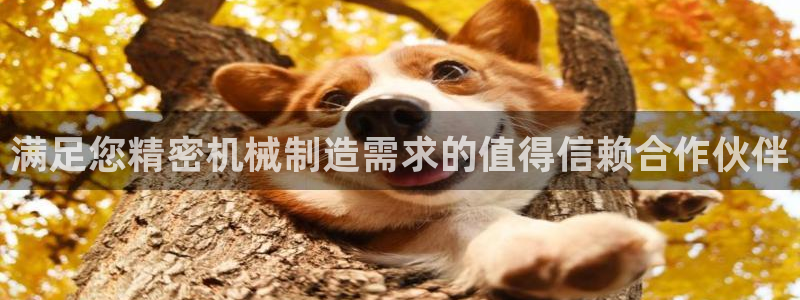 彩神8是正规平台吗是正品吗：满足您精密机械制造需求的值得信赖合作伙伴
