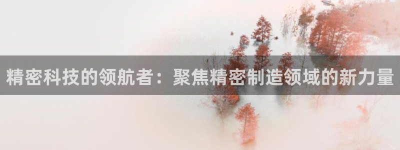 彩神v8手机客户端怎么下载：精密科技的领航者：聚焦精密制造领域的新力量