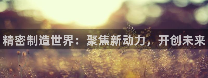 彩神是正规平台吗是真的吗：精密制造世界：聚焦新动力，开创未来