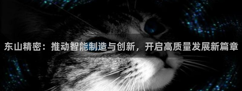 彩神平台之间是什么关系：东山精密：推动智能制造与创新，开启高质量发展新篇章