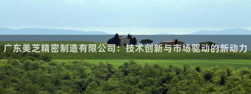 彩神可以提现吗：广东美芝精密制造有限公司：技术创新与市场驱动的新动力