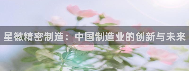 彩神大发黑平台：星徽精密制造：中国制造业的创新与未来