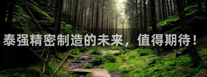 彩神v8手机客户端：泰强精密制造的未来，值得期待！