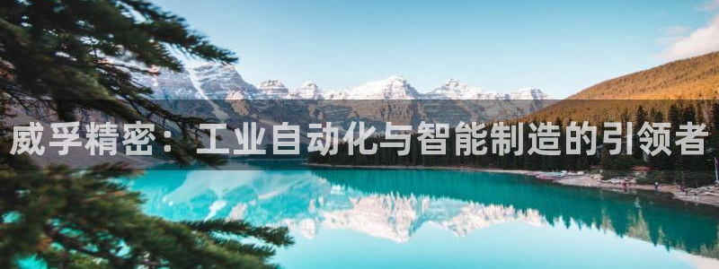 彩神ix官网：威孚精密：工业自动化与智能制造的引领者