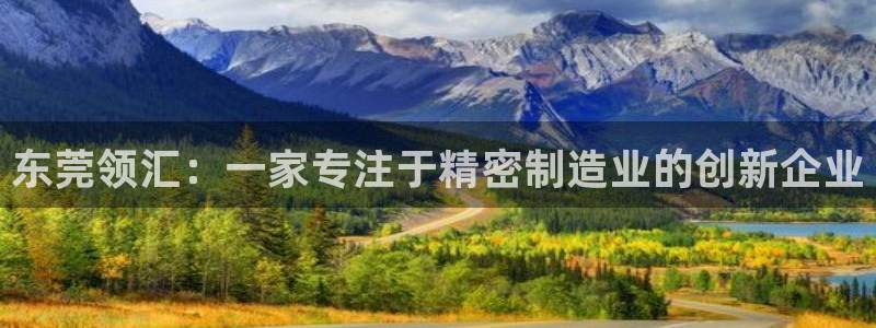 彩神8软件下载：东莞领汇：一家专注于精密制造业的创新企业