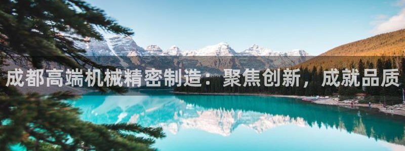 彩神平台是什么套路：成都高端机械精密制造：聚焦创新，成就品质