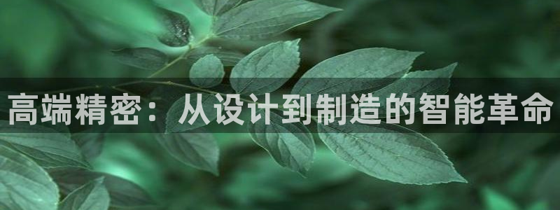 彩神8是正规平台吗：高端精密：从设计到制造的智能革命