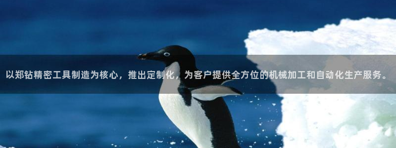 彩神购彩-购彩大厅入口：以郑钻精密工具制造为核心，推出定制化，为客户提供全方位的机械加工和自动化生产服务。