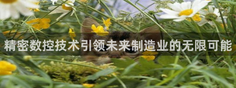 彩神ix平台：精密数控技术引领未来制造业的无限可能
