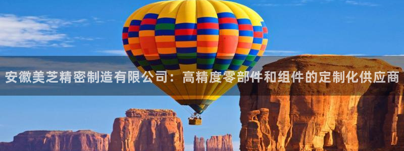 彩神v8app：安徽美芝精密制造有限公司：高精度零部件和组件的定制化供应商