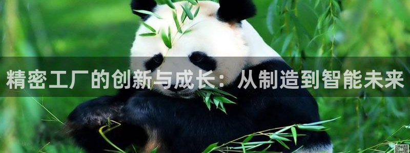 彩神大发黑平台：精密工厂的创新与成长：从制造到智能未来
