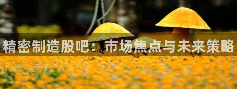 彩神app能挣到钱吗：精密制造股吧：市场焦点与未来策略