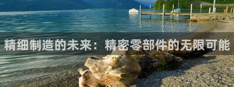 彩神是真的吗：精细制造的未来：精密零部件的无限可能