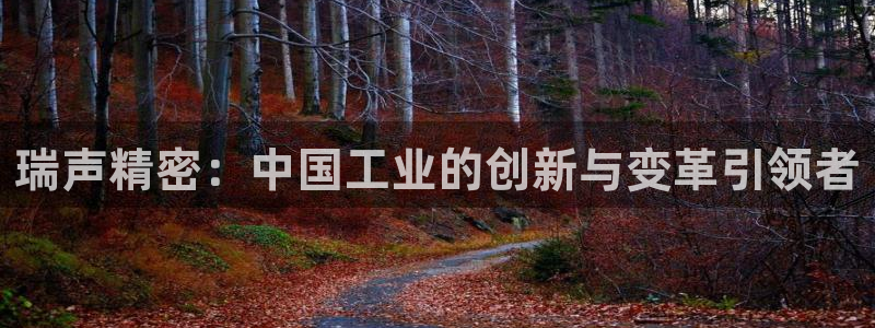 彩神争霸官网登录平台：瑞声精密：中国工业的创新与变革引领者