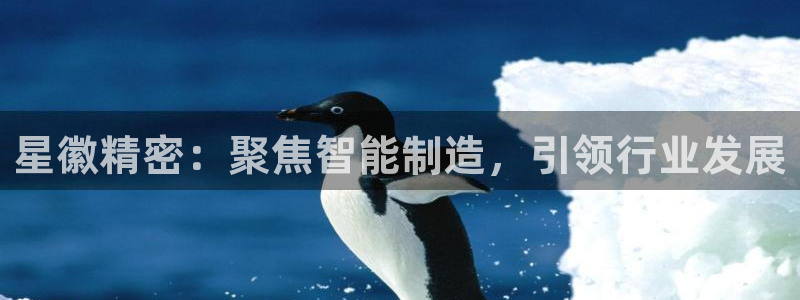 v彩神88iii：星徽精密：聚焦智能制造，引领行业发展