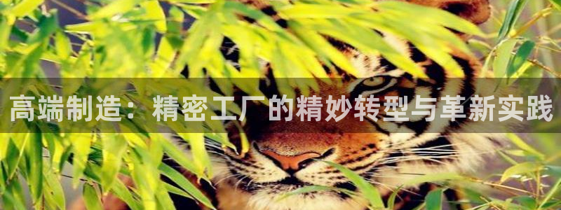 彩神客服电话：高端制造：精密工厂的精妙转型与革新实践