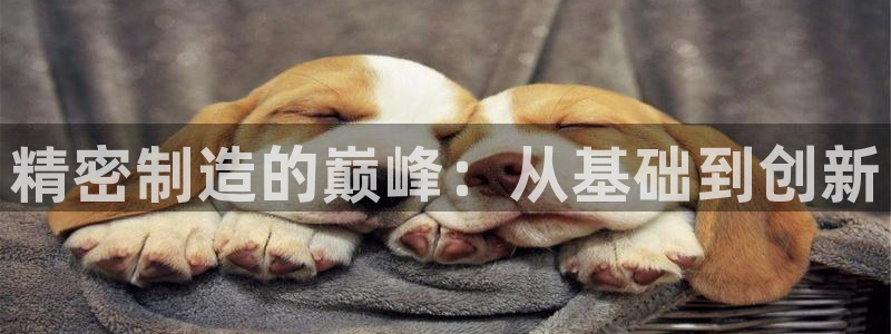 彩神大发三期计划网站：精密制造的巅峰：从基础到创新