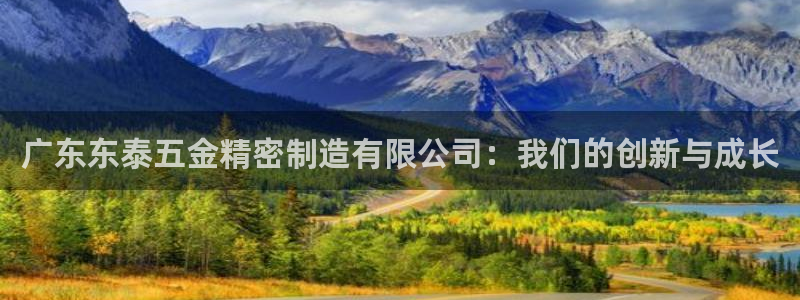 彩神iv能赚钱吗：广东东泰五金精密制造有限公司：我们的创新与成长
