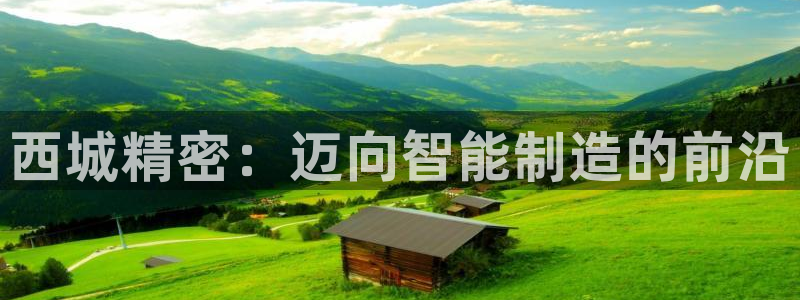 彩神是正规平台吗是真的吗：西城精密：迈向智能制造的前沿