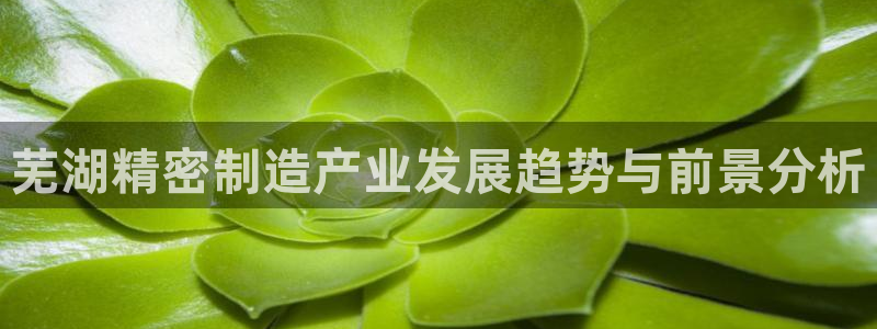 彩神争霸官方下载2017