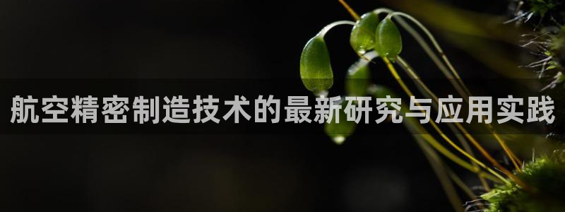 彩神网官网登录：航空