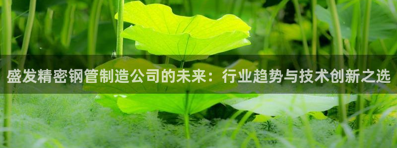 彩神系列平台：盛发精密钢管制造公司的未来：行业趋势与技术创新之选