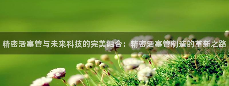 彩神v8下载：精密活塞管与未来科技的完美融合：精密活塞管制造的革新之路