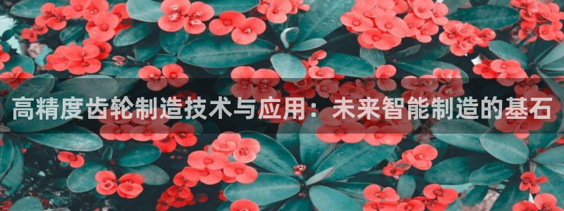 彩神平台可以破解吗