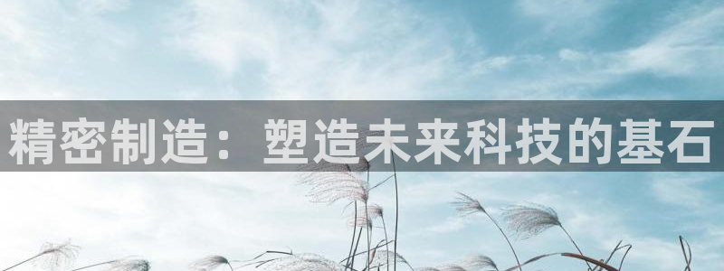 彩神vip购彩大厅下载：精密制造：塑造未来科技的基石