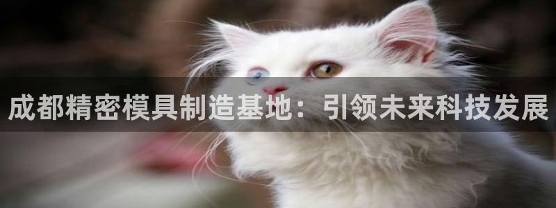 彩神是正规平台吗：成都精密模具制造基地：引领未来科技发展
