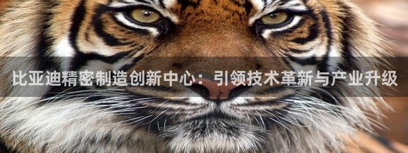 彩神vll首页