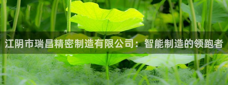 彩神app能挣到钱吗